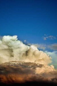 Lorem ipsum dolor sit amet consectetur